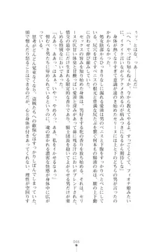 イセリア英雄戦記 【購入特典】, 日本語