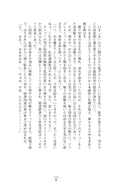 イセリア英雄戦記 【購入特典】, 日本語