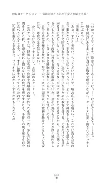 イセリア英雄戦記 【購入特典】, 日本語