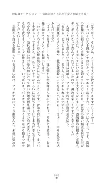 イセリア英雄戦記 【購入特典】, 日本語