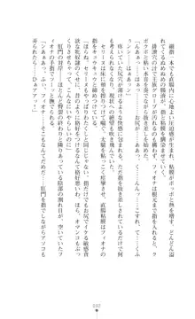 イセリア英雄戦記 【購入特典】, 日本語