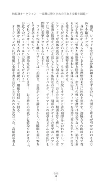 イセリア英雄戦記 【購入特典】, 日本語