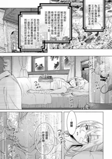 Kyououji no Ibitsu na Shuuai ~Nyotaika Knight no Totsukitooka~ Ch. 11, 中文