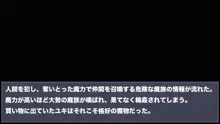 魔法少女VS触手・異種輪姦〜変身が破れ、か弱い少女に戻っても終わらない〜, 日本語