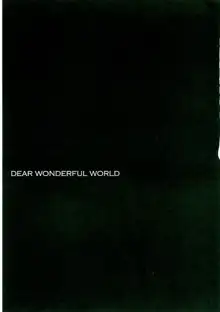 DEAR WONDERFUL WORLD, 日本語