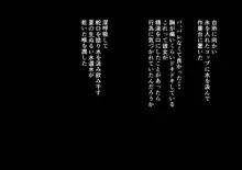 睡眠姦-君の身体は僕の物-, 日本語