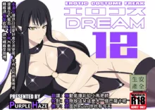 EroCos DREAM 12, 中文