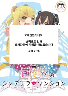 Himitsu no Cinderella Mansion | 비밀의 신데렐라 맨션, 한국어