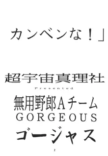 無用野郎Aチーム2 GORGEOUS, 日本語