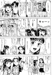 ミヨちゃん日記, 日本語