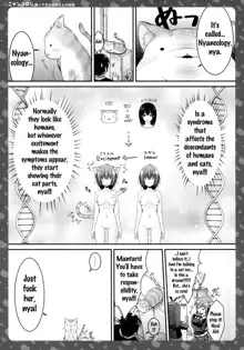 Nyancology -Kaettekita Nekota-san no Himitsu- | Nyancology -Homecoming Nekota-san's Secret-, English