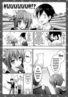 Nyancology -Kaettekita Nekota-san no Himitsu- | Nyancology -Homecoming Nekota-san's Secret-, English