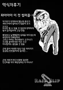 RAIDCLIP AYA, 한국어