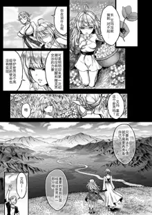 Tasogare no Shou Elf 2 - The story of Emma's side, 中文