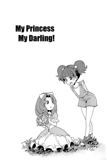 My Princess My Darling!, 中文