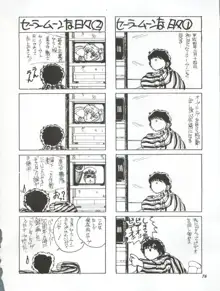 うさぎ14歳, 日本語