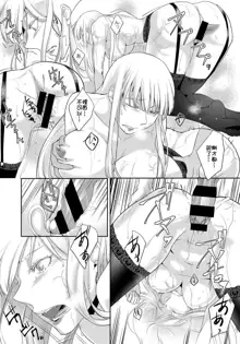 Walkure no Hokyuuhei Ch. 1, 中文