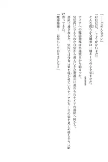 エルフの国の宮廷魔導師になれたので姫様に性的な悪戯をしてみた, 日本語