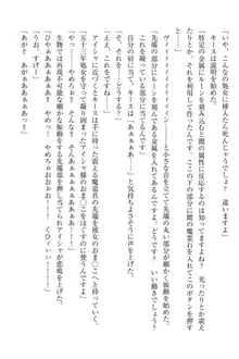 エルフの国の宮廷魔導師になれたので姫様に性的な悪戯をしてみた, 日本語