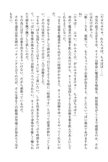 エルフの国の宮廷魔導師になれたので姫様に性的な悪戯をしてみた, 日本語