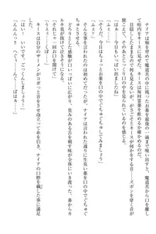 エルフの国の宮廷魔導師になれたので姫様に性的な悪戯をしてみた, 日本語