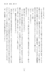 エルフの国の宮廷魔導師になれたので姫様に性的な悪戯をしてみた2, 日本語