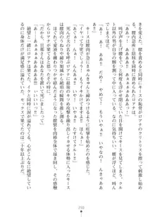 エルフの国の宮廷魔導師になれたので姫様に性的な悪戯をしてみた2, 日本語