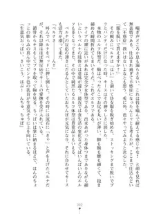 エルフの国の宮廷魔導師になれたので姫様に性的な悪戯をしてみた2, 日本語