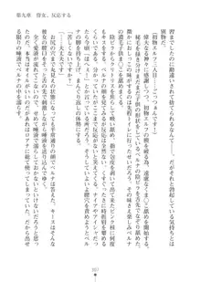 エルフの国の宮廷魔導師になれたので姫様に性的な悪戯をしてみた2, 日本語