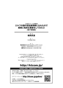 エルフの国の宮廷魔導師になれたので姫様に性的な悪戯をしてみた2, 日本語