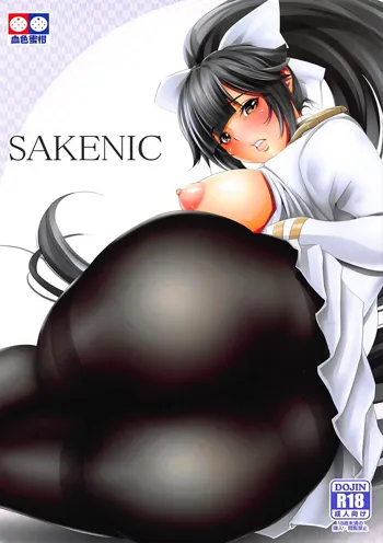 SAKENIC, 中文