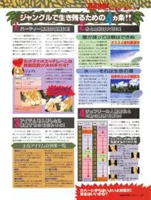 Tech Gian Issue 13, 日本語