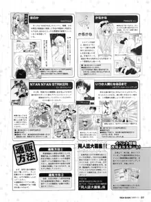 Tech Gian Issue 13, 日本語