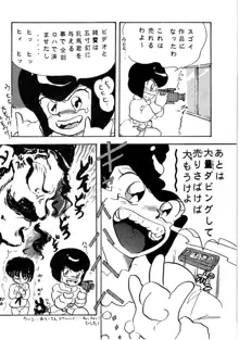 ルートRANMA, 日本語