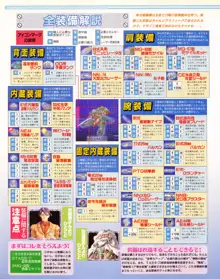 Tech Gian Issue 17, 日本語