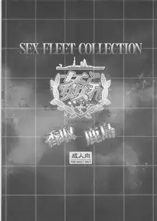 姦これ SEX FLEET COLLECTION 香取 鹿島, 日本語