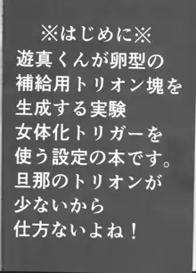 トリオン補給システム実験記録, 日本語