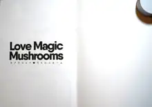 Love Magic Mushrooms, 日本語