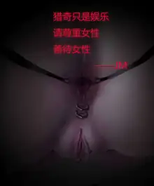 制服诱惑 警察篇 护士篇 白领篇, 中文