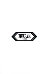 ヒカルの・・・ 2000年問題, 日本語