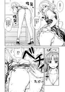 Sakuya-san VS Meiling-san | 咲夜小姐VS美鈴小姐, 中文