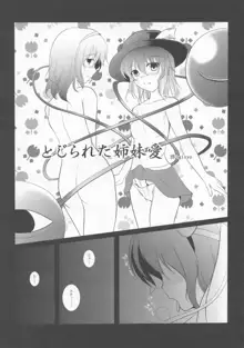 少女双性絵巻 東方踊艶舞 陽の章, 日本語