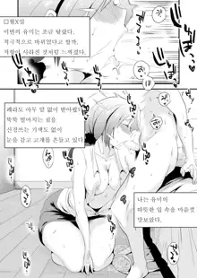 Anata no Nozomi vol. 1 ~Mail Hen~ |  너의 소망 ~메일 편~, 한국어