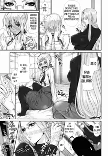 Shirou-kun Harem!! Servant Hen, 한국어