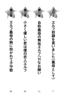 僕の小さなエルフ義母, 日本語