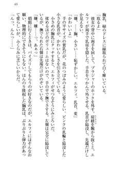 僕の小さなエルフ義母, 日本語