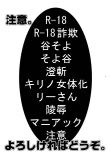 俺の嫁がこんなにメイドなわけがない, 日本語