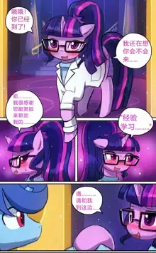 Twilight's Research | 暮光学习计划, 中文