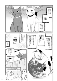 まとめたの。, 日本語