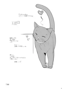 まとめたの。, 日本語